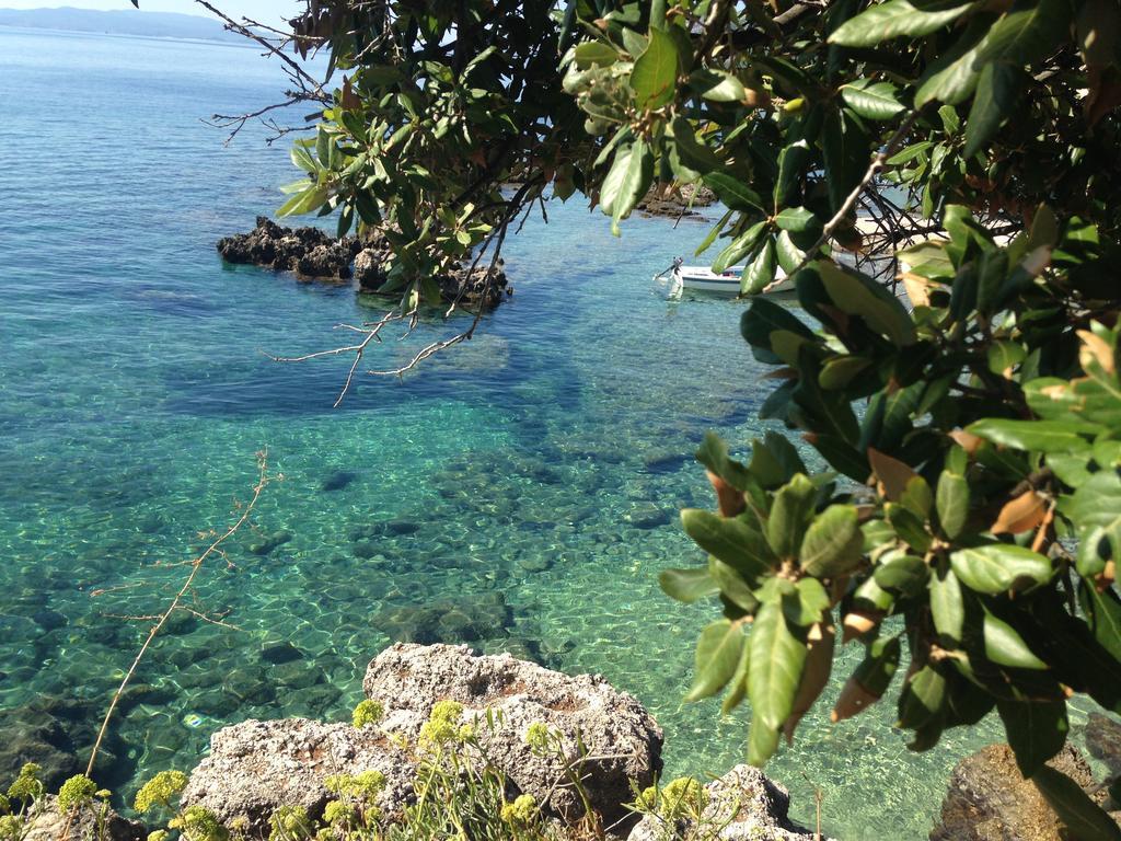 Mimice Bay Apartments Εξωτερικό φωτογραφία