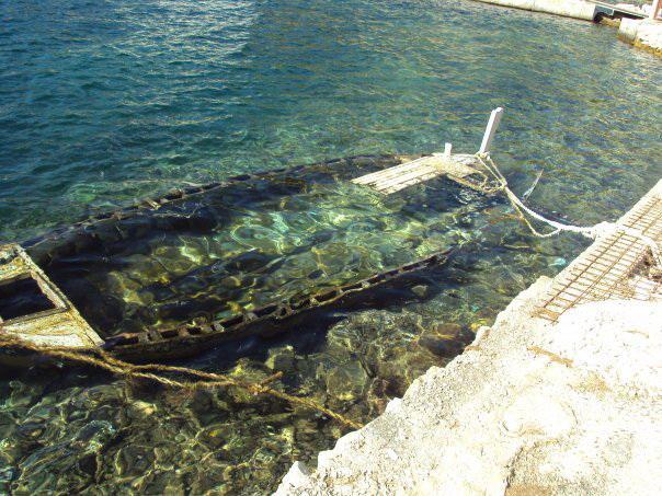 Mimice Bay Apartments Εξωτερικό φωτογραφία